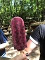 Kids_BlaseFarm_7-2020 (24)